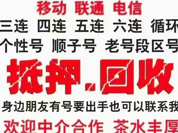 儋州吉祥号回收